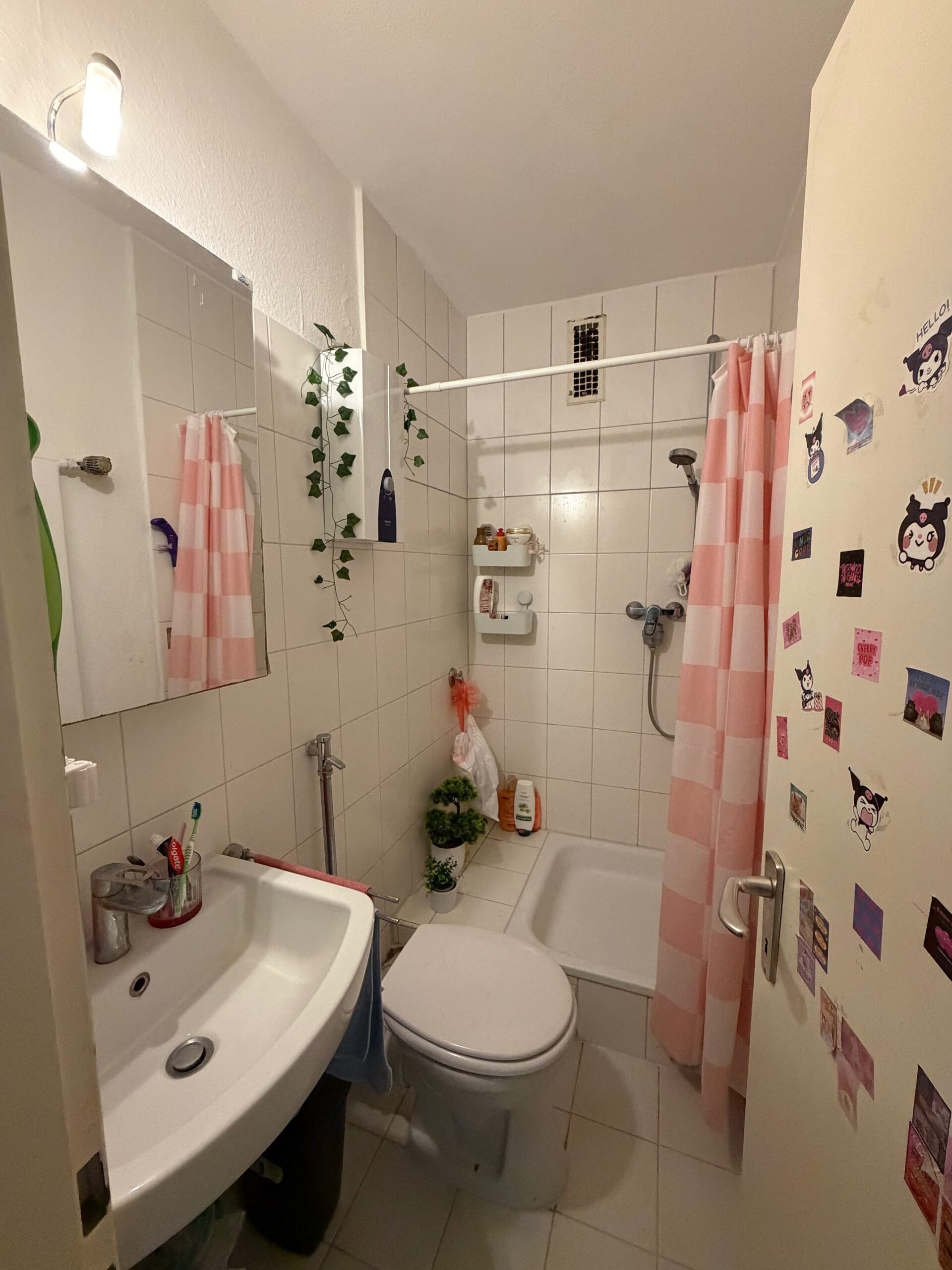 Schöne 1-Zimmer-Wohnung mit Balkon und Einbauküche