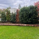 Moderne Erdgeschosswohnung mit Terrasse in Lauf!